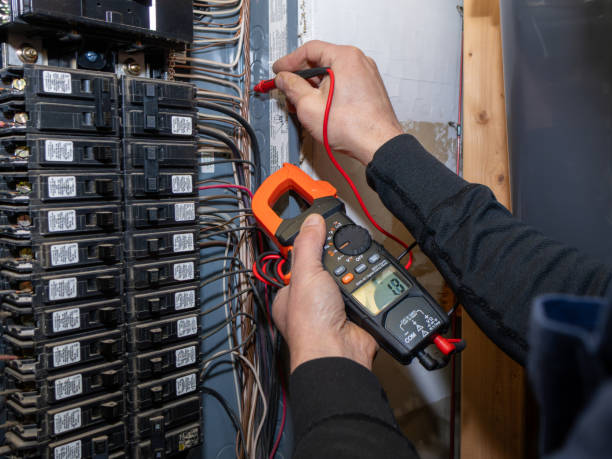 Best Electric Panel Repair  in Daingerfield, TX